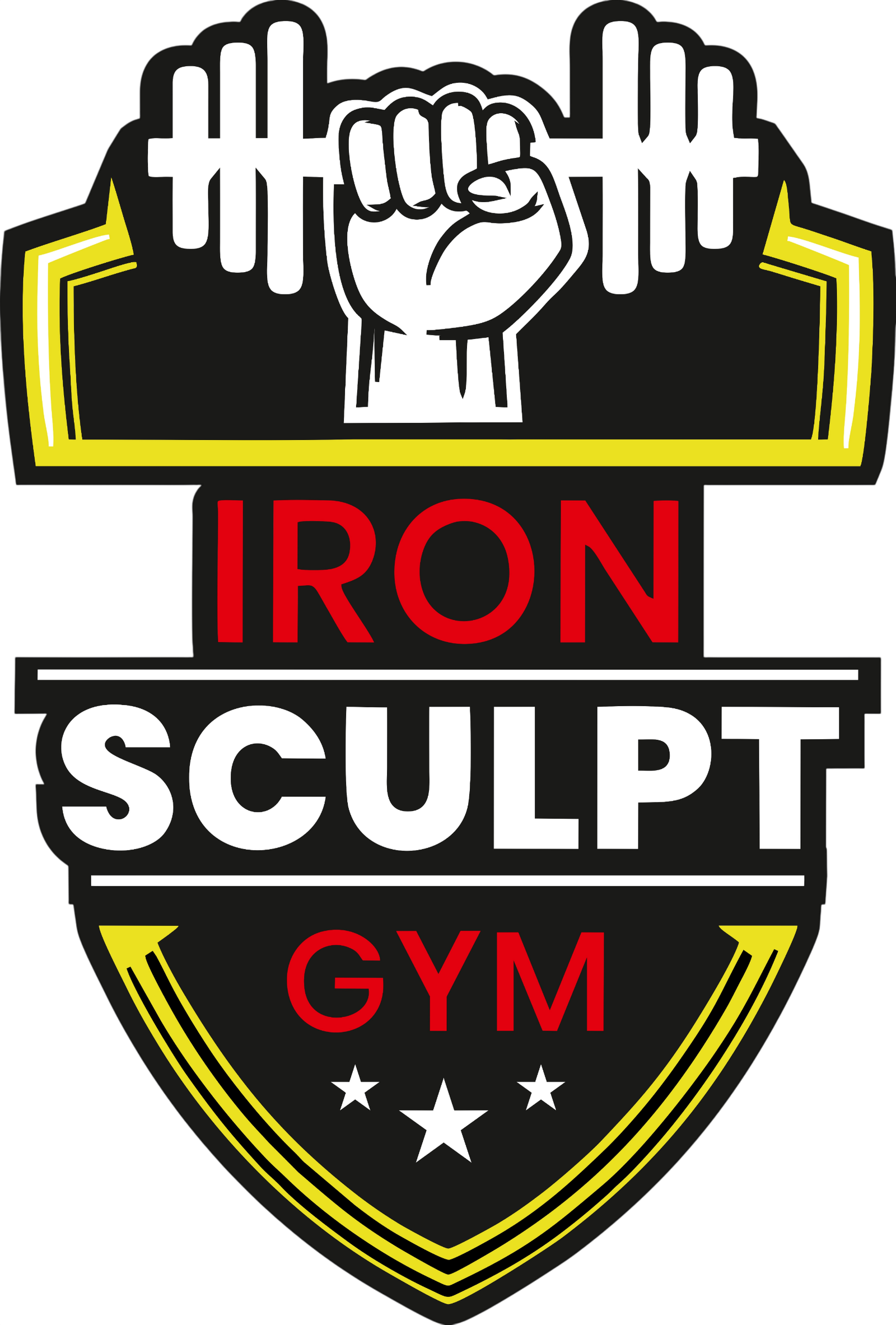 ironsculptgym.com